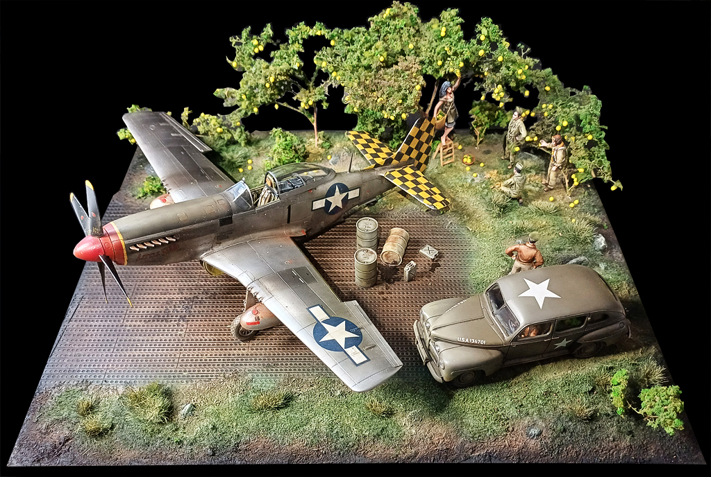 P51D eduard 1/48 maquette model